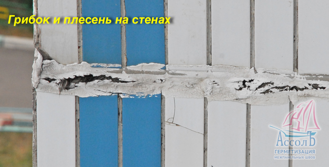 Страшны ли грибок и плесень теплому дому? - технология утепл.