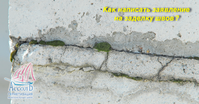 как написать заявление на заделку межпанельных швов образец