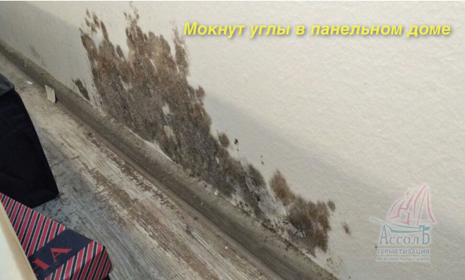 Мокнут углы в доме. Мокнут стены внизу. мокнет угол в панельном доме что делать. начал мокнуть угол дома. чем закрыть мокнущую стену.
