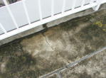 бетон является темным - дождевая вода не находила выхода и был застой воды в трещинах